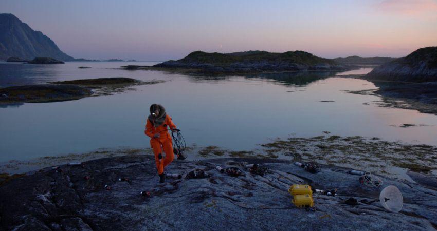 Acoustic Ocean, Úrsula Biemann