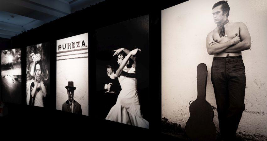 Exposición fotográfica 'Colita Flamenco. El viaje sin fin'