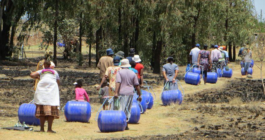 Hippo Roller, Rietfontein. Sudáfrica.