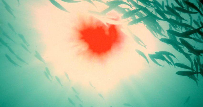 La exposición colectiva 'Devolver el fuego' 