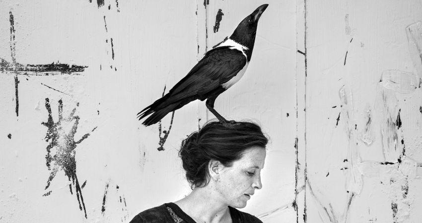 Gus Camille, Francois Passerini