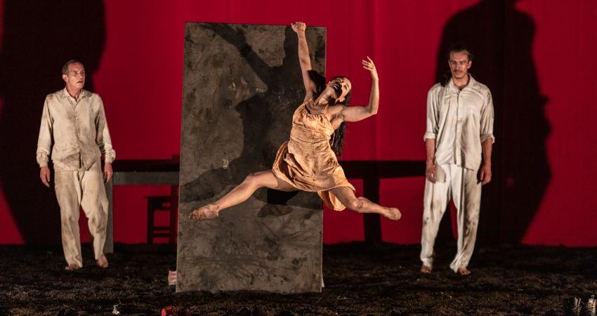 'La mirada del avestruz'. Foto de Carlos Mario Lema