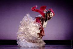 Flamenco Madrid reúne a 20 compañías de cante, baile y toque