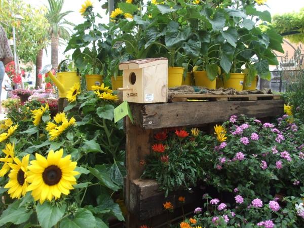 Botánica Insólita, una feria que descubre el mundo vegetal en Matadero Madrid