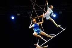 CRECE, The party must go on, una suma de talentos en la pista del Price