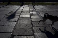 Cuatro retratos de Madrid desde la fotografía emergente latinoamericana