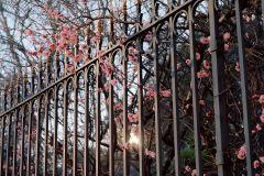 David Mocha presenta en CentroCentro su serie fotográfica El Paraíso