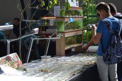 Los amantes de los reptiles tienen mañana una cita en el Pabellón de Cristal