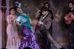 Flamenco Madrid