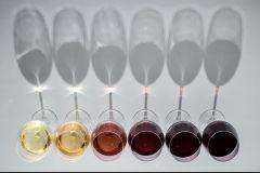 Gastrofestival Madrid ofrece música y degustación de vinos en Conde Duque