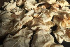 El drama de los refugiados, reflejado en una instalación de Teatr ZAR