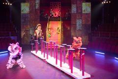 Circo Price en Navidad, el clásico más esperado de las navidades