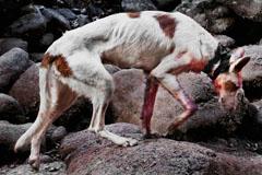 LANZADERA presenta el trabajo del fotógrafo Jesús Monterde